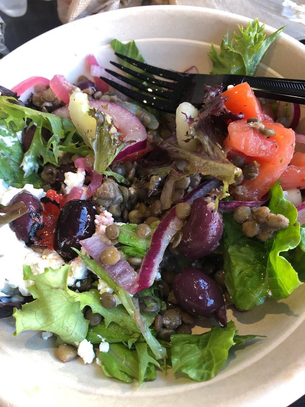 The Simple Greek | restaurant | 1731 Wilson Blvd, Arlington, VA 22209, USA | 7038751800 OR +1 703-875-1800