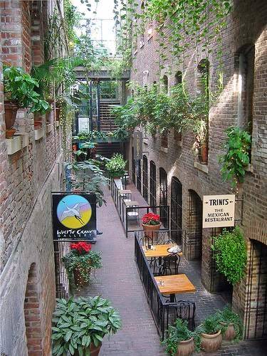 Trinis | restaurant | 1020 Howard St, Omaha, NE 68102, USA | 4023468400 OR +1 402-346-8400