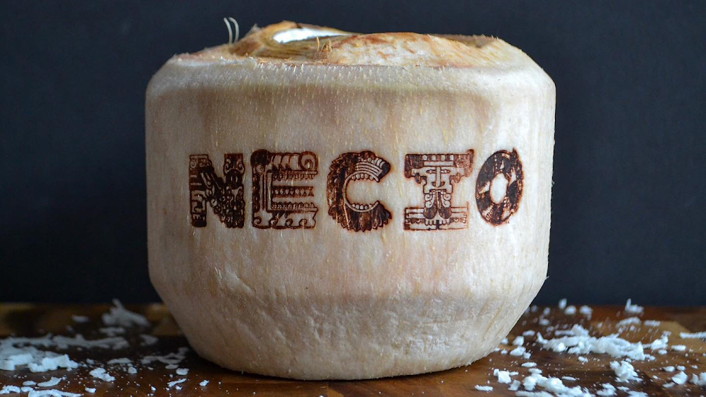 Necio Mexican Kitchen | restaurant | 4001 Tejon St, Denver, CO 80211, USA | 7204855647 OR +1 720-485-5647