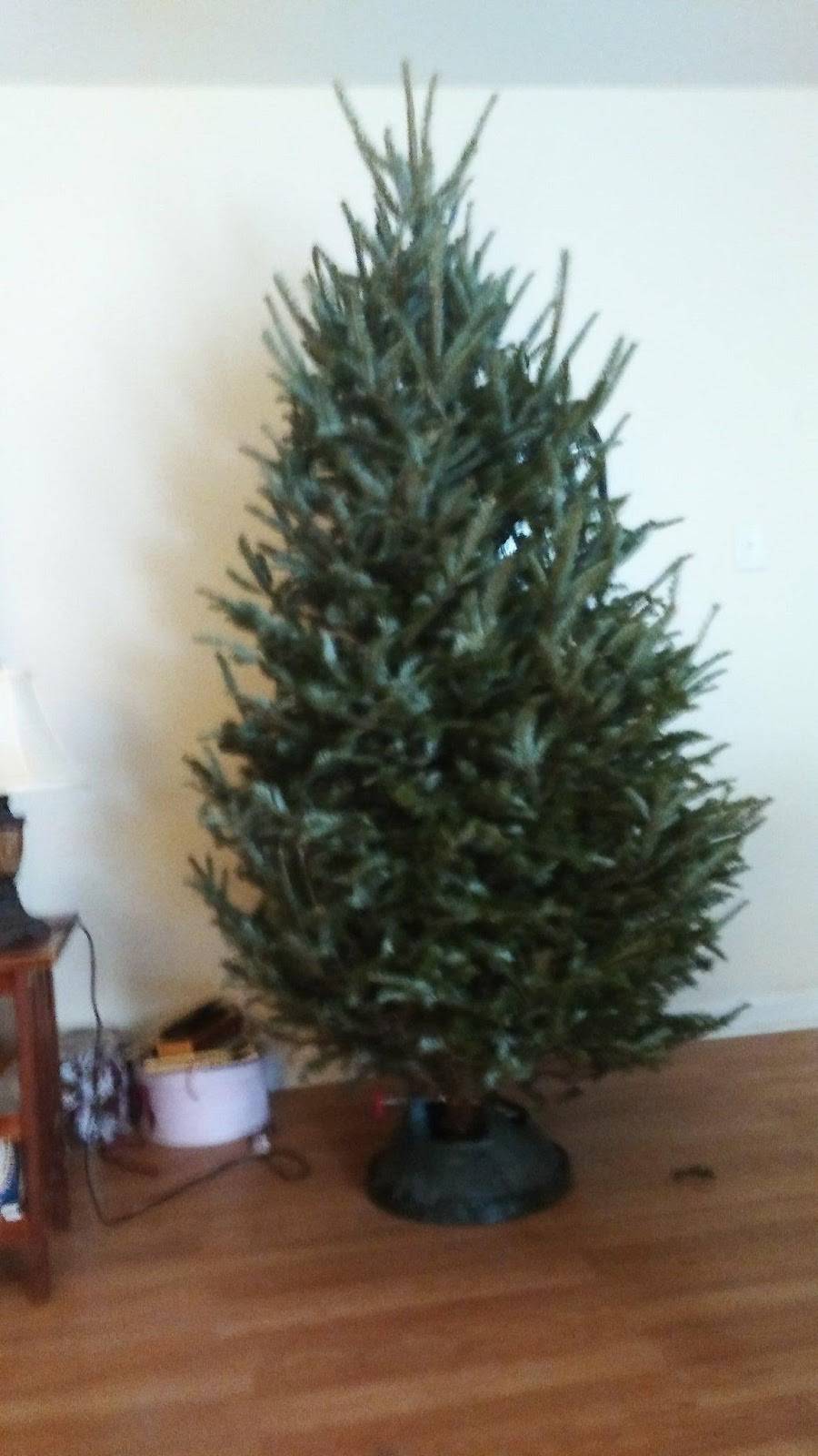 Fosters Freeze | restaurant | 3900 Pelandale Ave #430, Modesto, CA 95356, USA | 2095459150 OR +1 209-545-9150