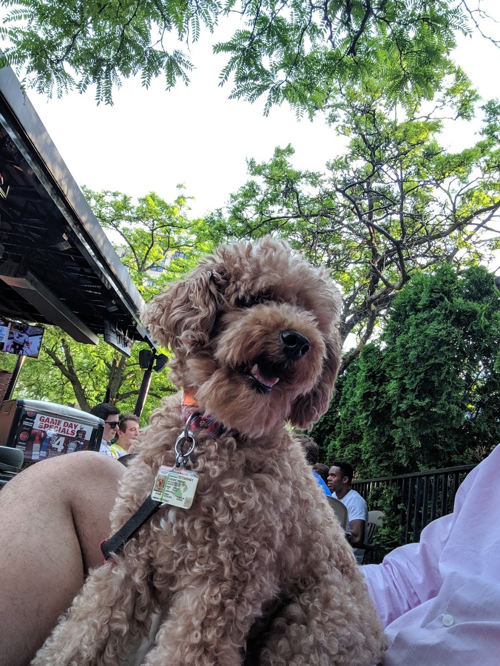 Chasers Bar & Grille | restaurant | 408 W Gorham St, Madison, WI 53703, USA | 6085886825 OR +1 608-588-6825