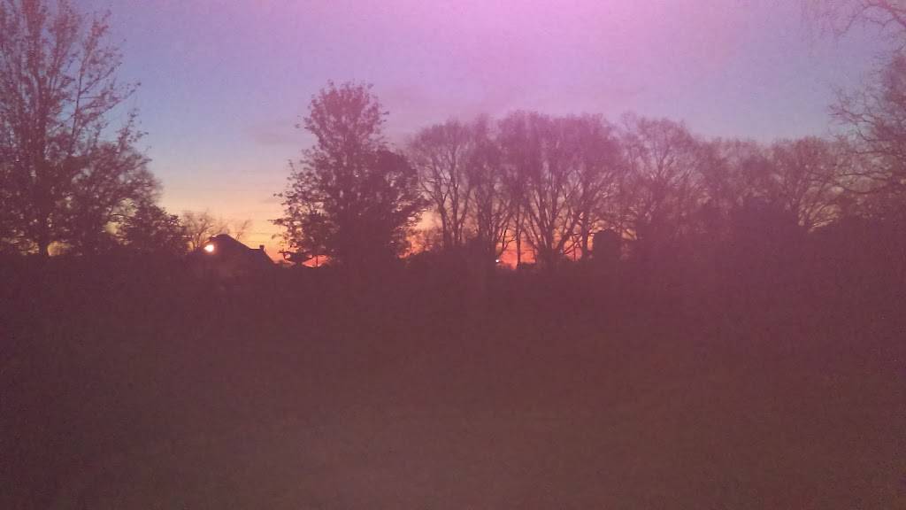 Twin Dragon Hibachi Express | restaurant | 212 GA-49 #500, Byron, GA 31008, USA | 4789561278 OR +1 478-956-1278