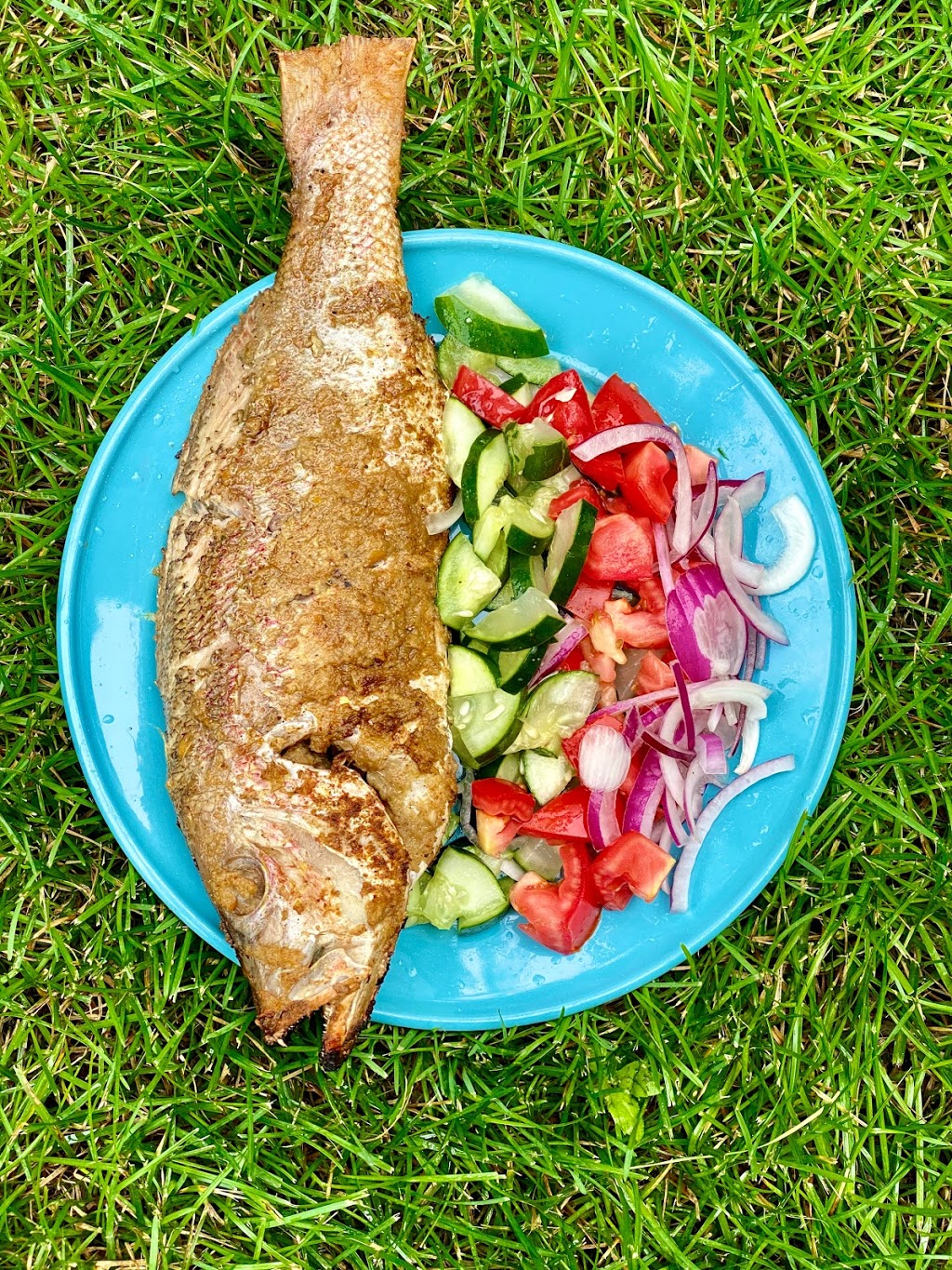 Jollof & Grill Restaurant/Lounge | restaurant | 432 Central Avenue Entrance via, 432 Central Ave, Newark, NJ 07107, USA | 9739395777 OR +1 973-939-5777