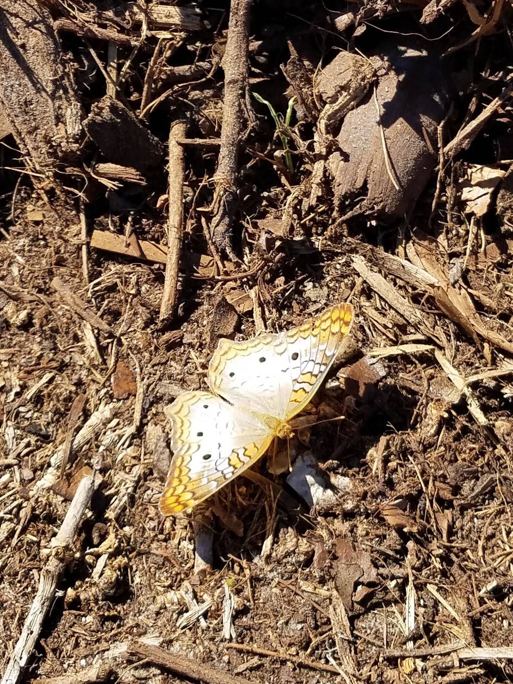 Reading Room | restaurant | 6001 Central Ave, St. Petersburg, FL 33710, USA | 7273430052 OR +1 727-343-0052