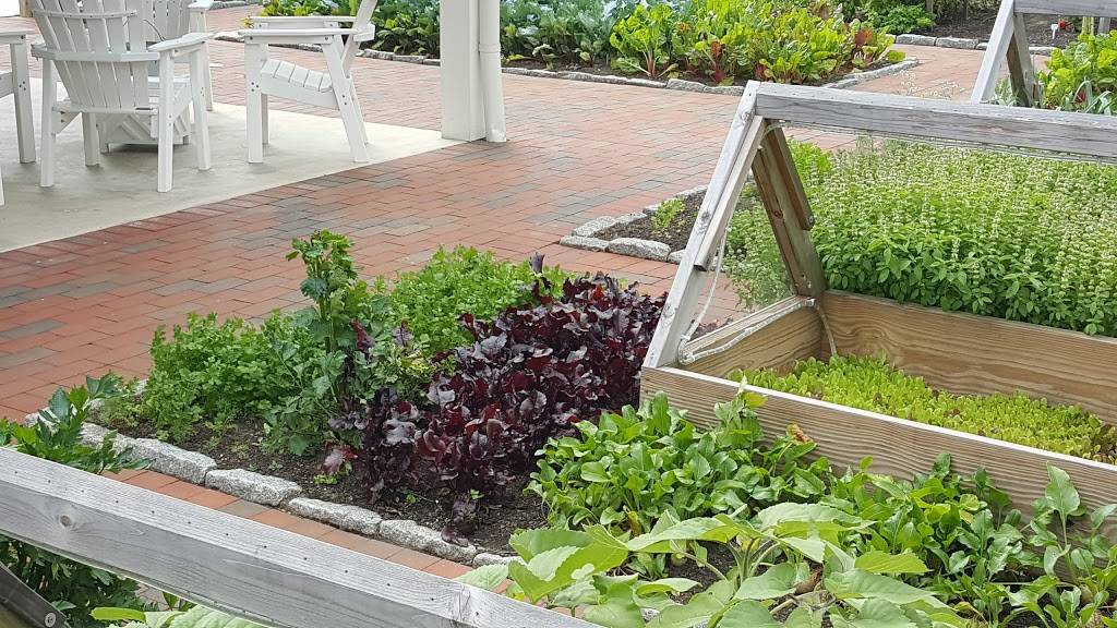 Knoxies Table | restaurant | 180 Pier 1 Rd, Stevensville, MD 21666, USA | 4106045900 OR +1 410-604-5900