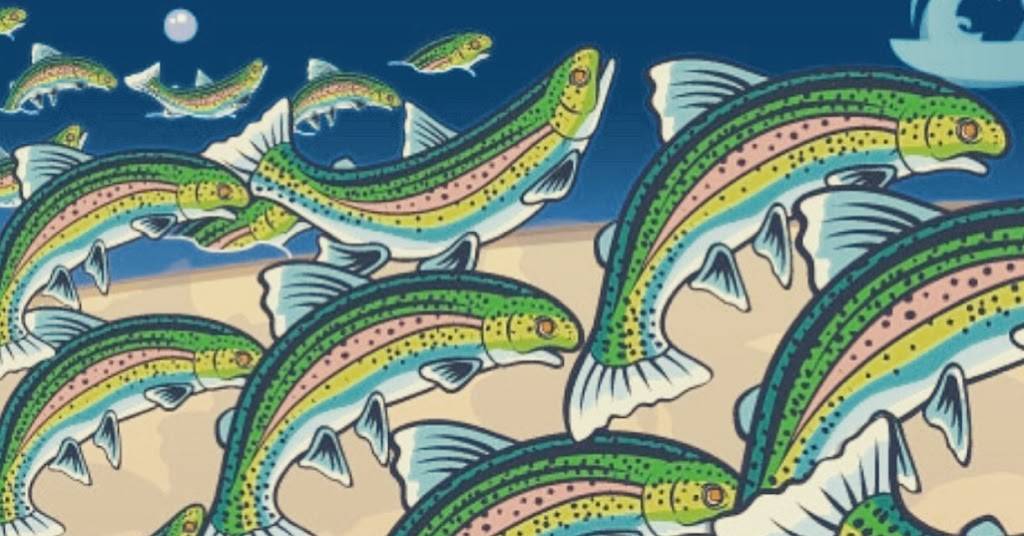 The Galley - Hannegan Seafood | restaurant | 6069 Hannegan Rd, Bellingham, WA 98226, USA | 3603030566 OR +1 360-303-0566