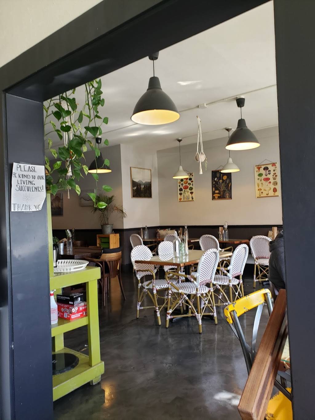 Cafe Mia | restaurant | 4310 SW Oregon St, Seattle, WA 98116, USA | 2067087891 OR +1 206-708-7891