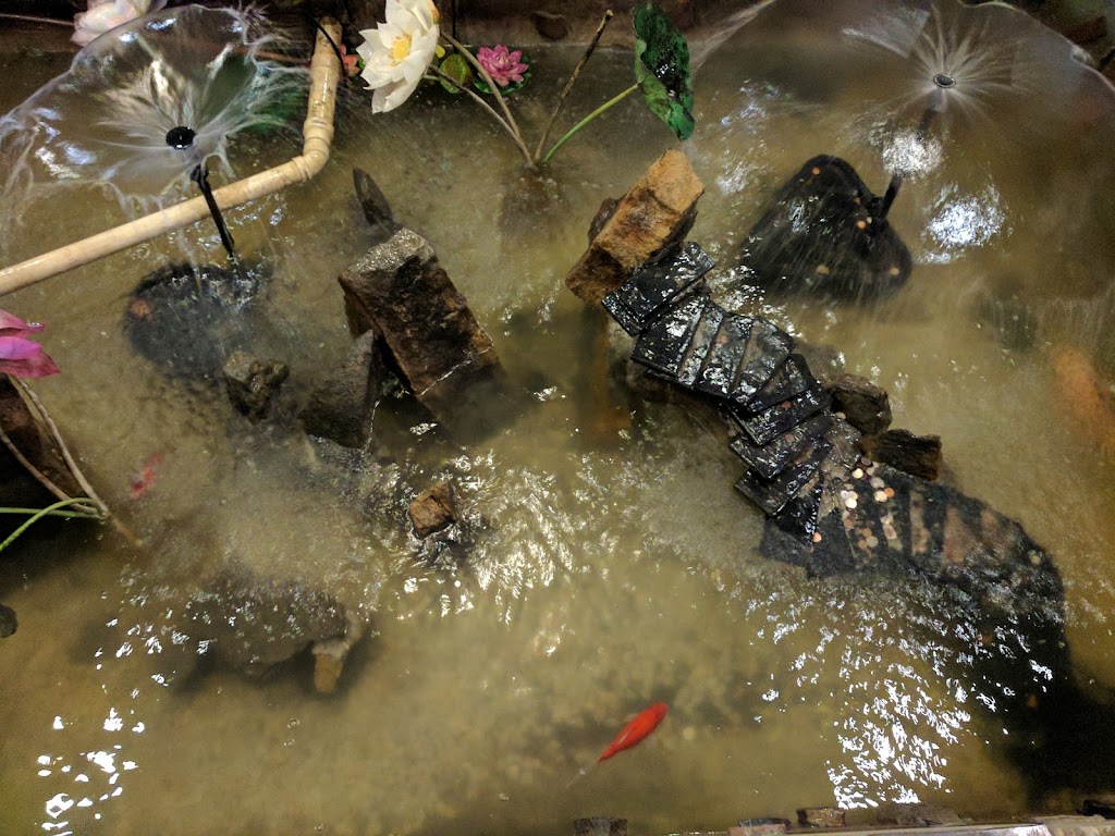 Tokyo Dragon | restaurant | 6831 Alexandria Pike, Alexandria, KY 41001, USA | 8596353666 OR +1 859-635-3666