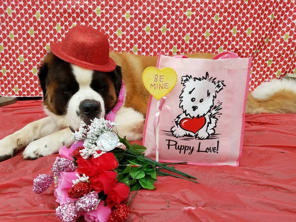 Darrells Diner | restaurant | 17350 SE 109th Terrace Rd, Summerfield, FL 34491, USA | 3523071686 OR +1 352-307-1686