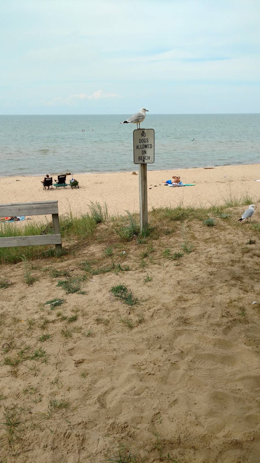 Oak Beach Pantry & Pizza | meal takeaway | 3371 Port Austin Rd, Port Austin, MI 48467, USA | 9897380131 OR +1 989-738-0131