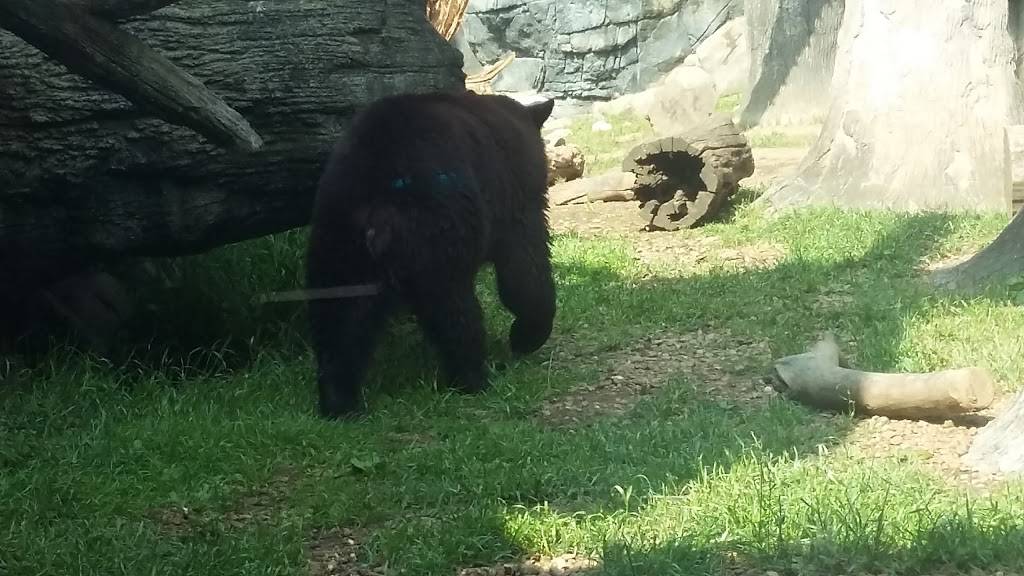 Magic Kitchen | restaurant | 4112 N Peoria Rd, Springfield, IL 62702, USA | 2175252230 OR +1 217-525-2230