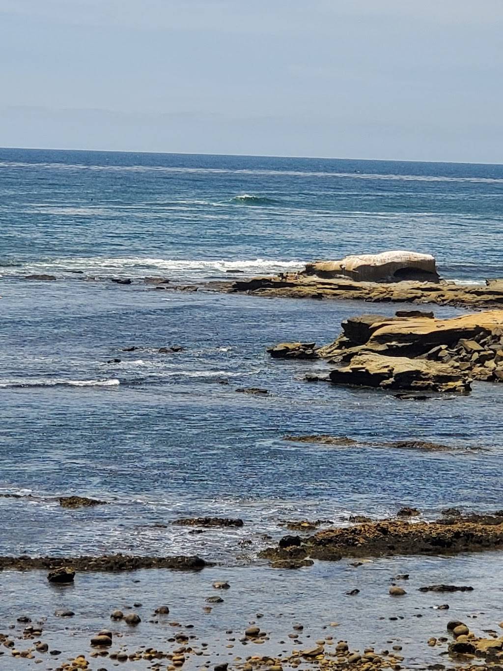 Starbucks | cafe | 5604 La Jolla Blvd #C, La Jolla, CA 92037, USA | 8584544037 OR +1 858-454-4037