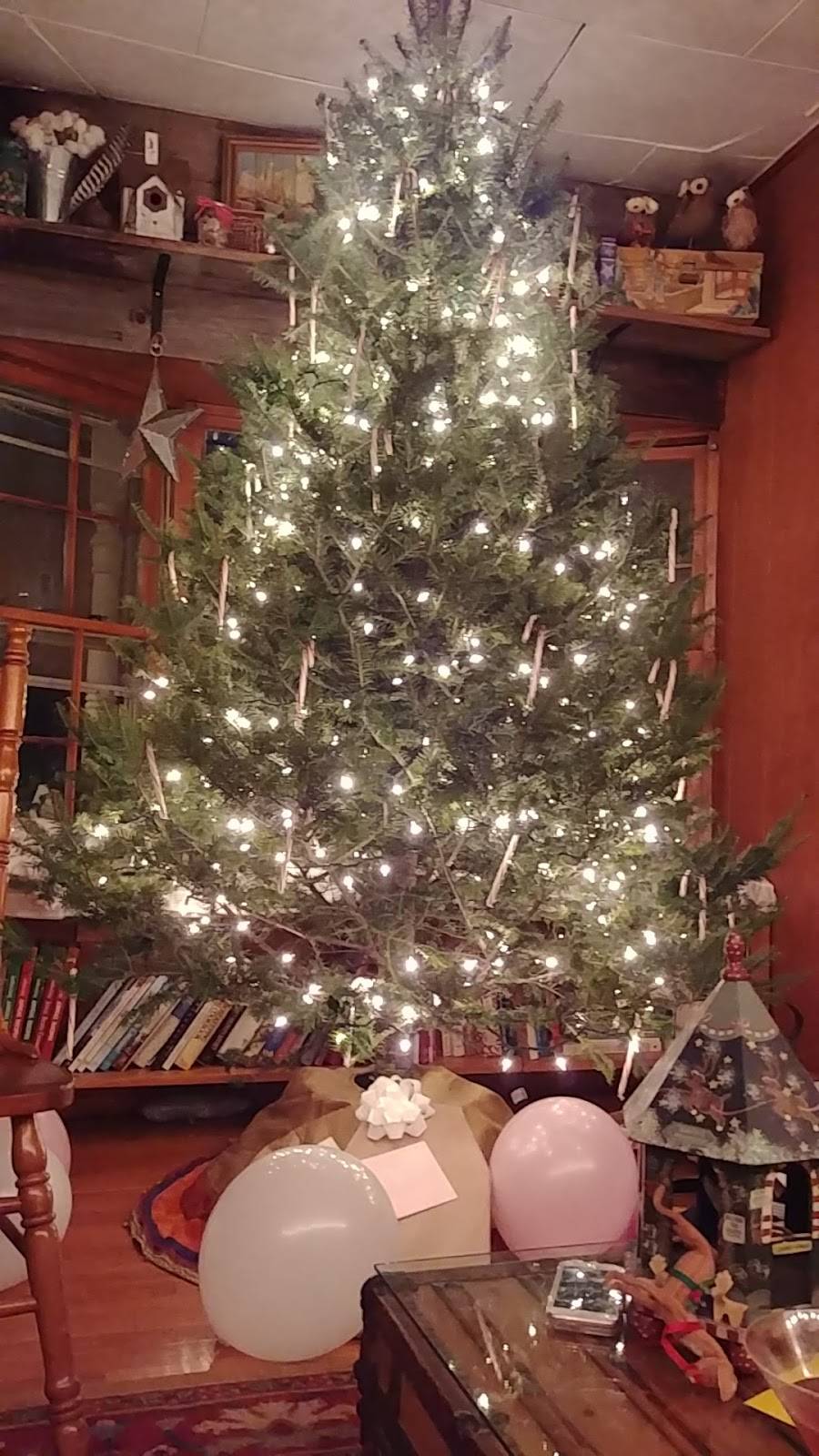 LeeAnns Kitchen | meal takeaway | 28 Auburn St, Clinton, MA 01510, USA | 9783331599 OR +1 978-333-1599