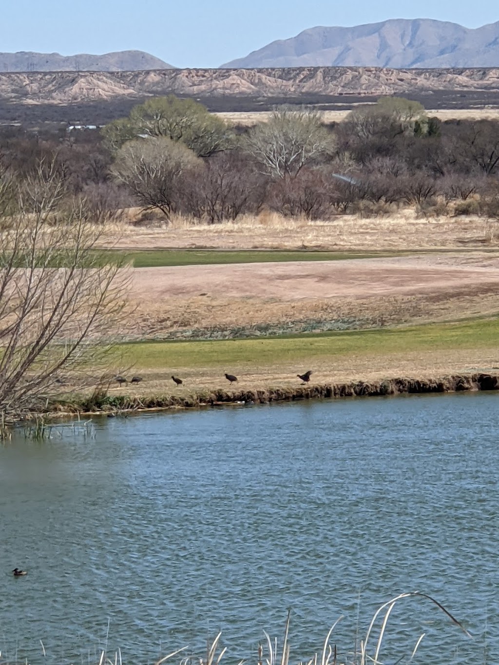 Benson City Grille | restaurant | 926 Madison St, Benson, AZ 85602, USA | 5205862525 OR +1 520-586-2525