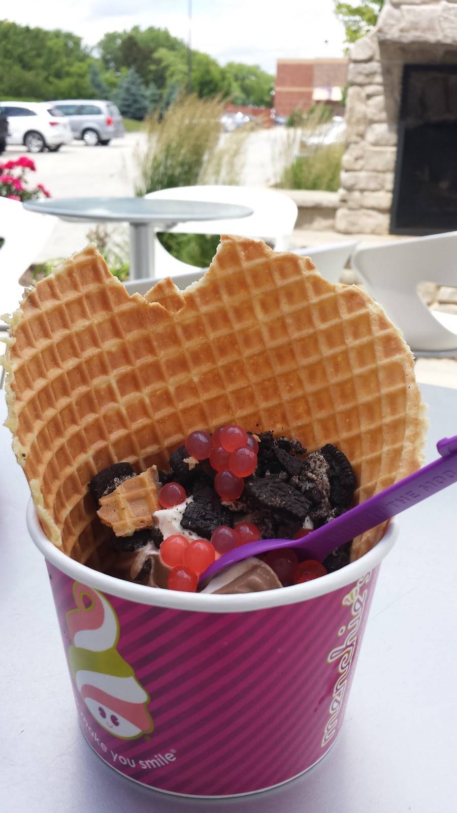 Menchies Frozen Yogurt | bakery | 1027 N Elmhurst Rd, Mt Prospect, IL 60056, USA | 2247352296 OR +1 224-735-2296