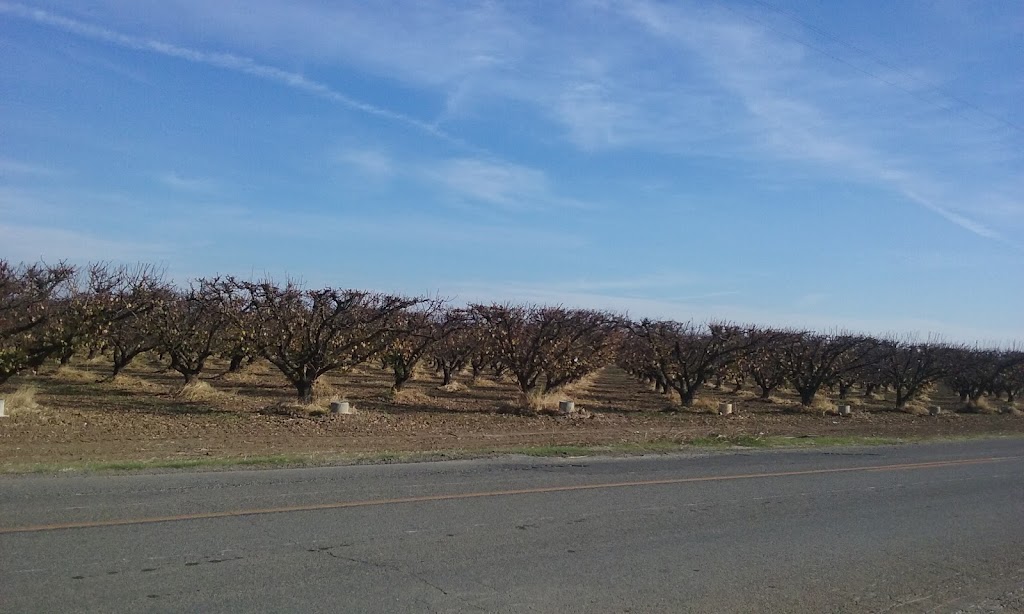 Westley Pub & Grille | restaurant | 8615 CA-33, Westley, CA 95387, USA | 2098943663 OR +1 209-894-3663