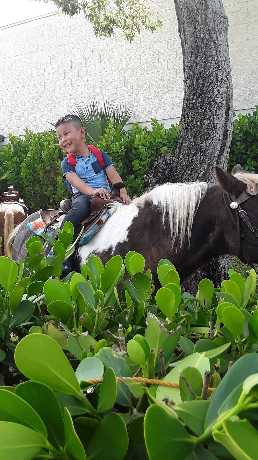 Mi Pais Express II | restaurant | Wabasso Dr, West Palm Beach, FL 33409, USA | 5612490347 OR +1 561-249-0347