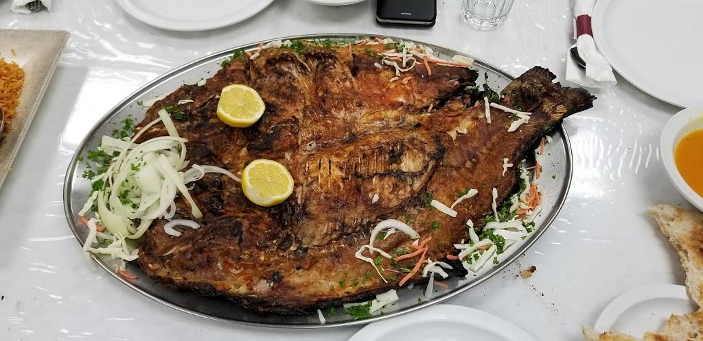 Al Masgoof Grill | restaurant | 4197 E 14 Mile Rd, Sterling Heights, MI 48310, USA | 5869787504 OR +1 586-978-7504