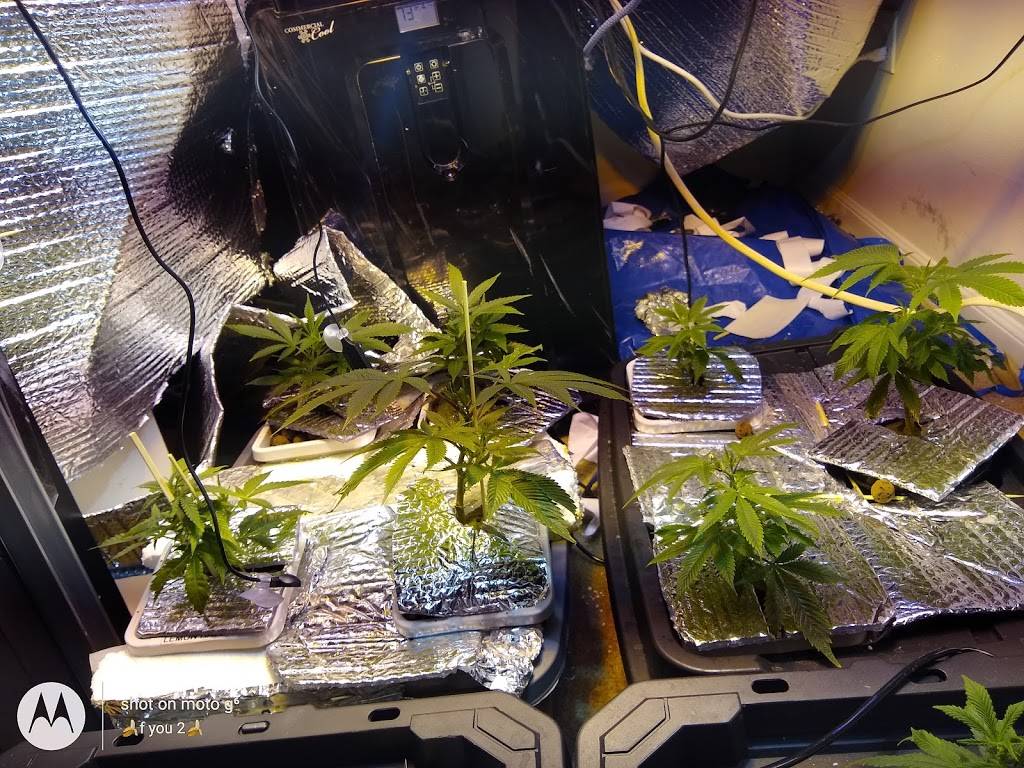 Tokyo Japanese Steakhouse | restaurant | 300 Andover St, Peabody, MA 01960, USA | 9785328788 OR +1 978-532-8788