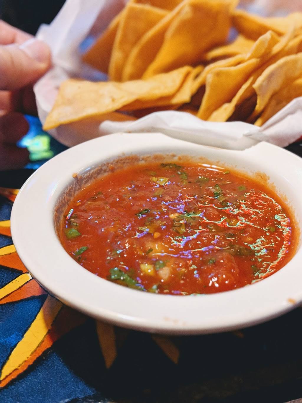 Camelias Mexican Grill | restaurant | 1304 E Eleven Mile Rd, Royal Oak, MI 48067, USA | 2485448900 OR +1 248-544-8900