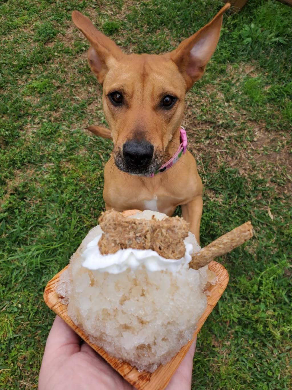 Texas Sno Fruit | restaurant | 359 Willis St Scopel Square, Alvin, TX 77511, USA | 8326607554 OR +1 832-660-7554