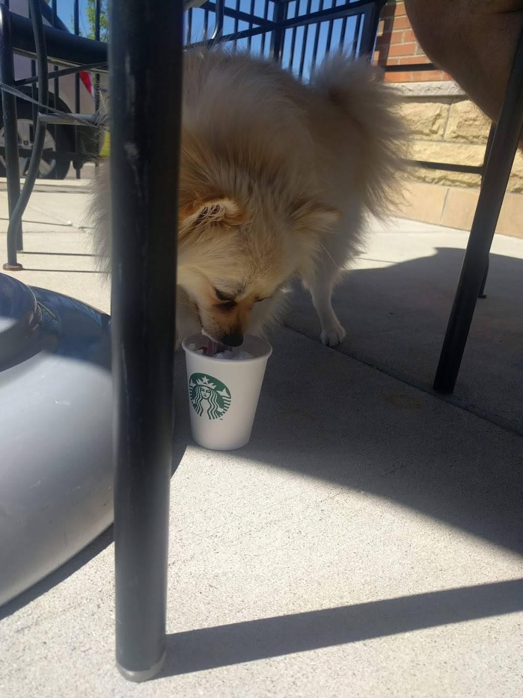 Starbucks | cafe | 12679 Middlebelt Rd, Livonia, MI 48150, USA | 7347620746 OR +1 734-762-0746