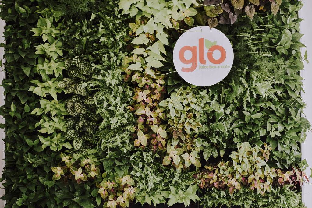 Glo Juice Bar + Cafe | restaurant | 1120 Brown St, Dayton, OH 45409, USA | 9379910085 OR +1 937-991-0085