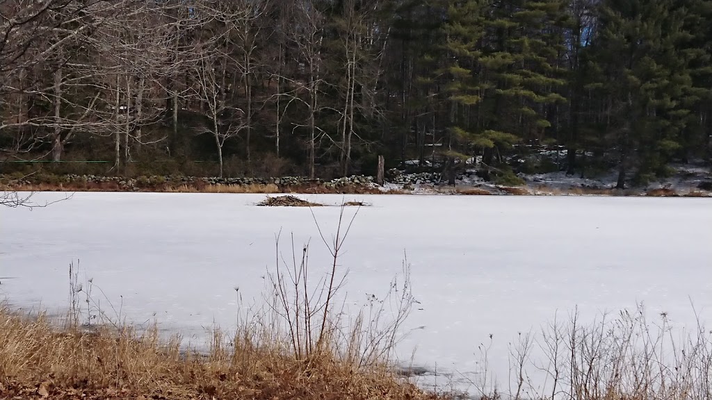 The Maple Guys Sugar Shack | restaurant | 311, Cram Hill Rd, Lyndeborough, NH 03082, USA | 6038013158 OR +1 603-801-3158