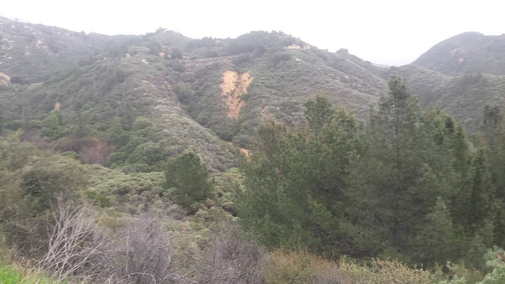 Alejandros Mexican Food | restaurant | 801 W 19th St, Costa Mesa, CA 92627, USA | 9496312561 OR +1 949-631-2561