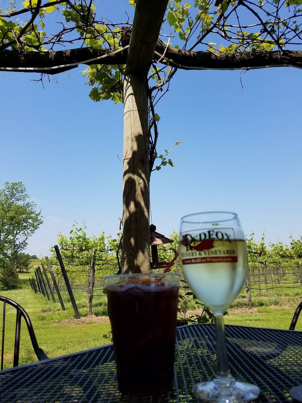 Red Fox Winery & Vineyards | restaurant | 1422 NW 800 Rd, Urich, MO 64788, USA | 8169188161 OR +1 816-918-8161
