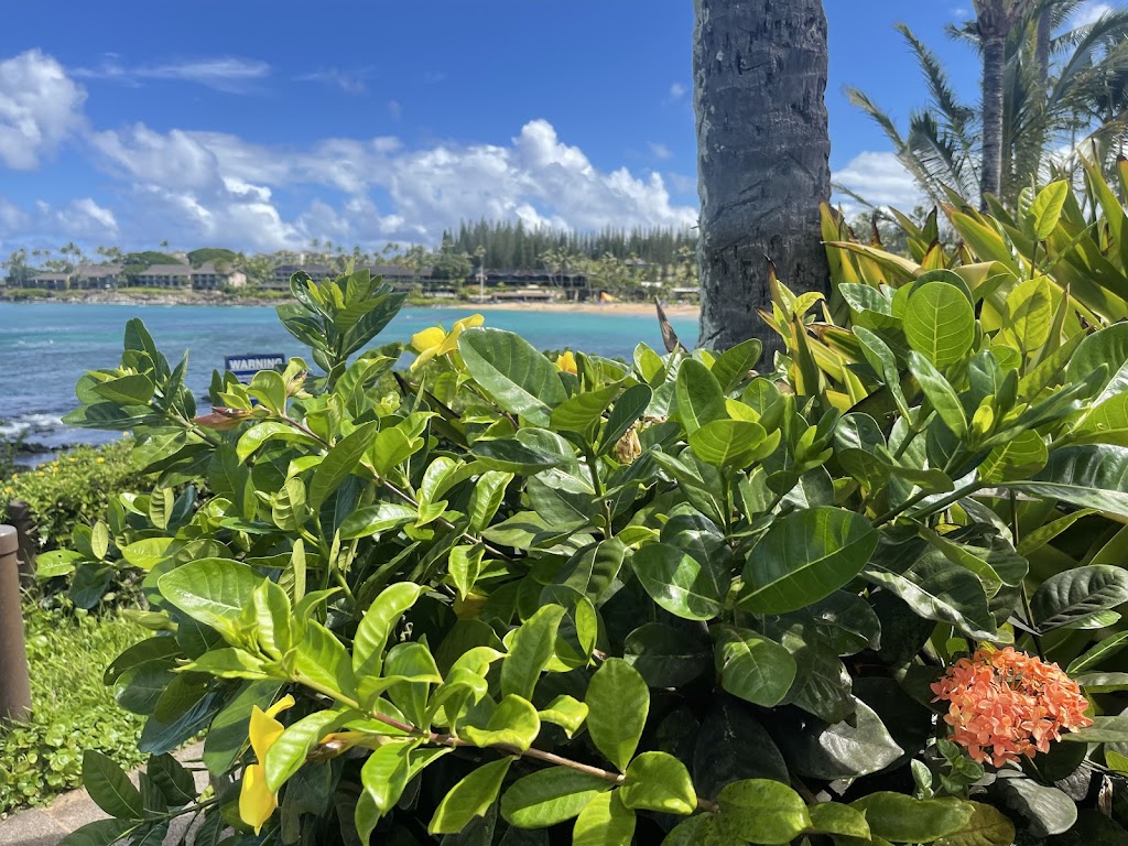 Gazebo Restaurant and Hookah Lounge | restaurant | 4180 S Jones Blvd, Las Vegas, NV 89103, USA | 7023334884 OR +1 702-333-4884