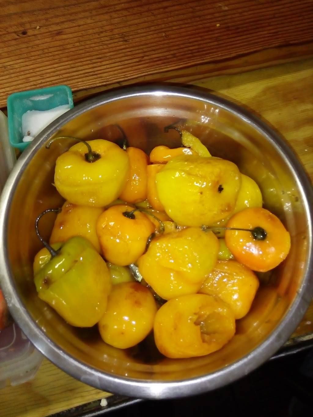 La cabaña de Anita | restaurant | Pso de Los Laureles 92206, El Refugio, Garcia, Redondo, B.C., Mexico | 016641138506 OR +52 664 113 8506