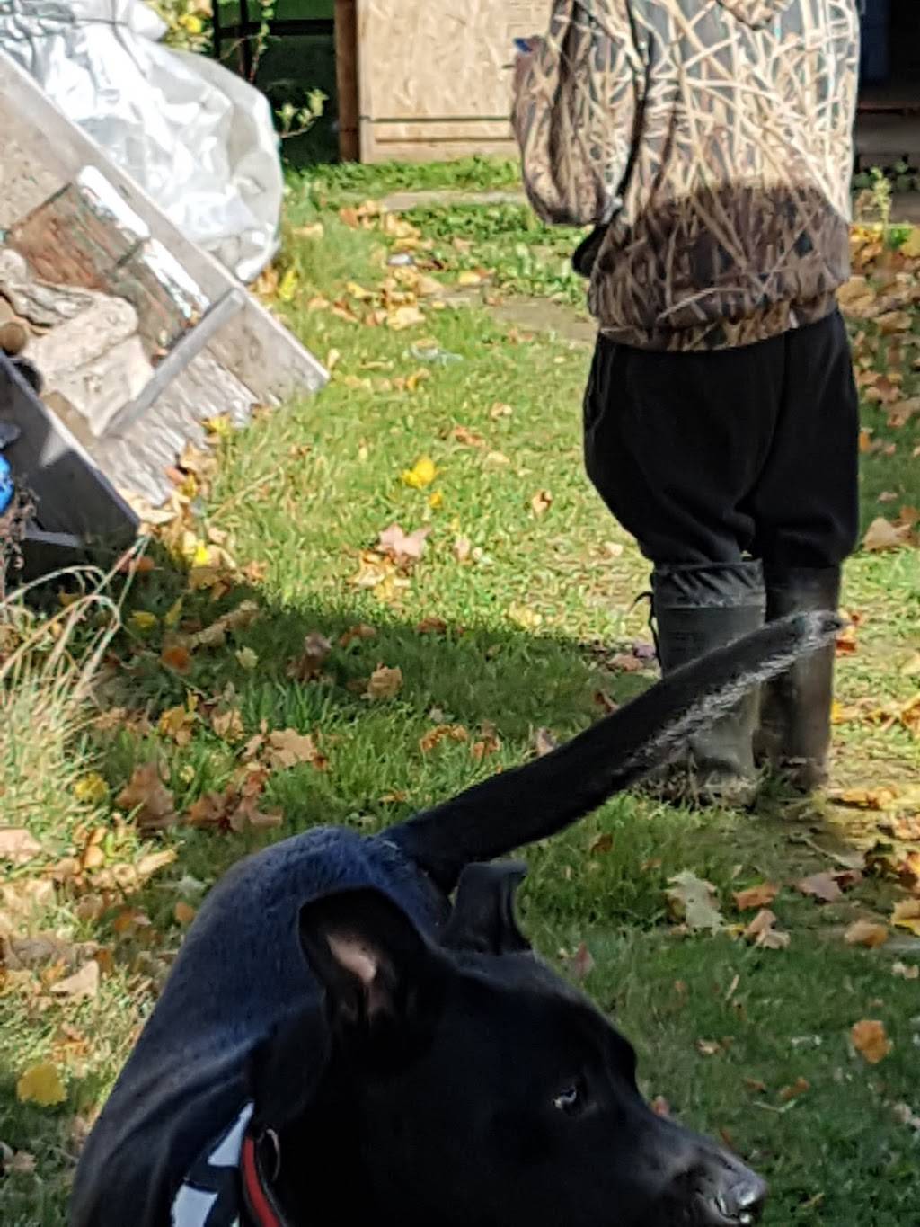 Morrisburg Golf Club | restaurant | 15 Laurier Dr, Morrisburg, ON K0C 1X0, Canada | 6135433282 OR +1 613-543-3282