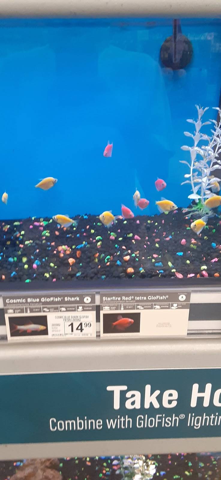 Llc enterprise alt+F4 | restaurant | 3801 W Elkhorn Ave, Visalia, CA 93277, USA | 5598054807 OR +1 559-805-4807