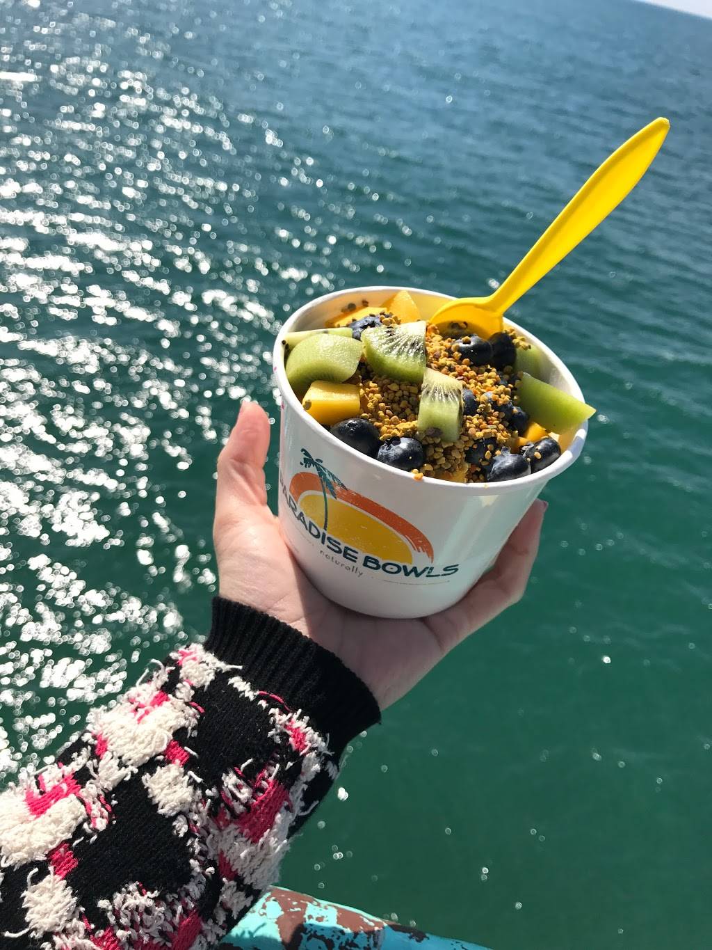 Paradise Bowls | cafe | 919 Manhattan Ave, Manhattan Beach, CA 90266, USA | 3107987100 OR +1 310-798-7100