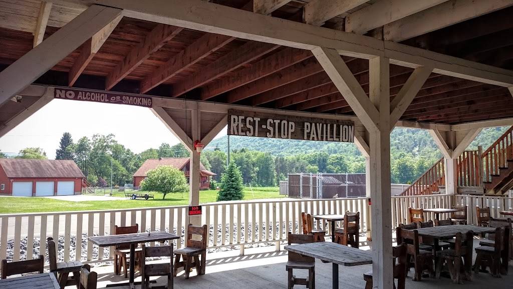 Dandy Mini Mart | meal takeaway | 179 NY-414, Beaver Dams, NY 14812, USA | 6079364552 OR +1 607-936-4552