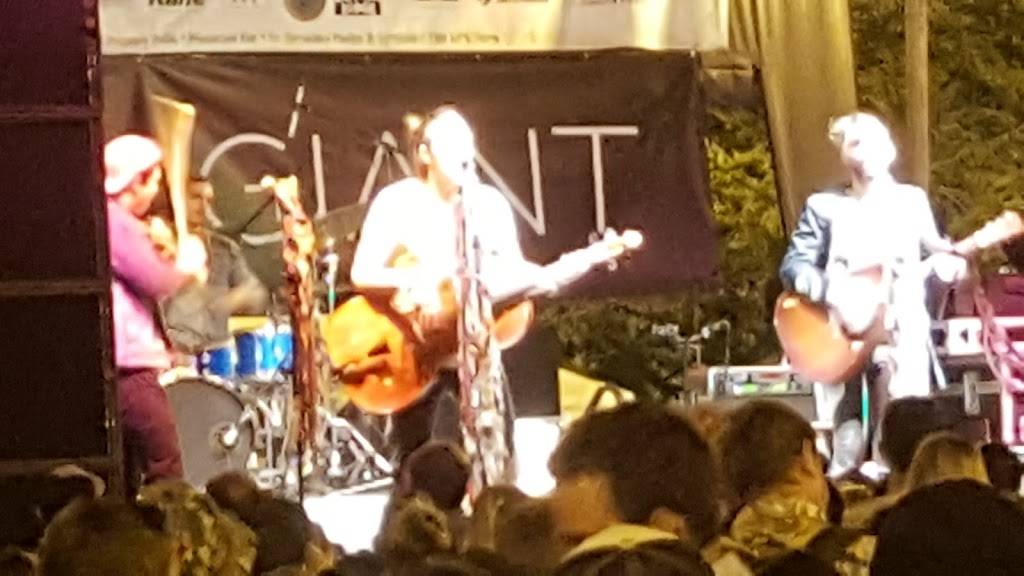 Subway Restaurants | restaurant | 4019 N Lincoln Ave, Chicago, IL 60618, USA | 7736977033 OR +1 773-697-7033