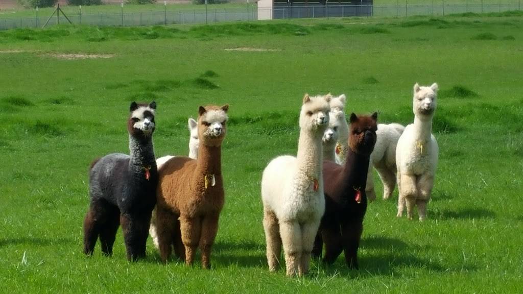 Gouger Cellars | restaurant | 26506 NE 10th Ave, Ridgefield, WA 98642, USA | 3609094707 OR +1 360-909-4707