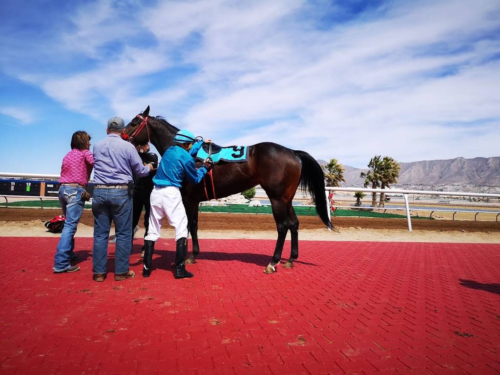 Sunland Park Racetrack & Casino | restaurant | 1200 Futurity Dr, Sunland Park, NM 88063, USA | 5758745200 OR +1 575-874-5200