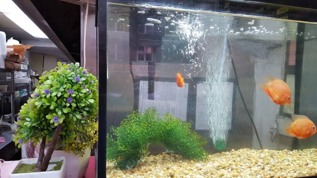 Spring Garden | restaurant | 8706 5th Ave, Brooklyn, NY 11209, USA | 7189215252 OR +1 718-921-5252