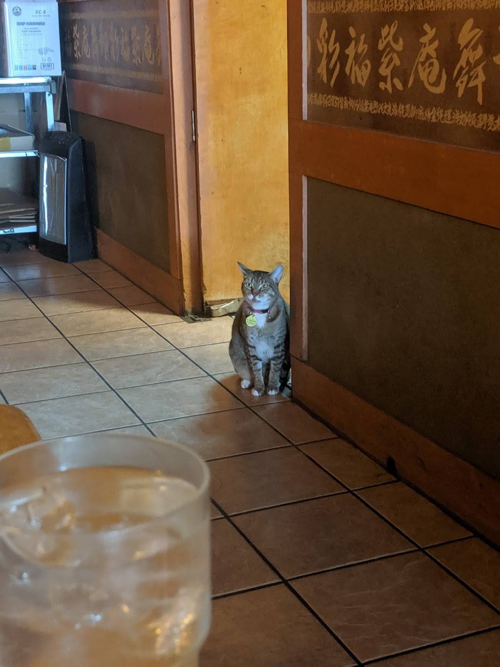 Kung-Ho Chinese Restaurant | restaurant | 3640 Factoria Blvd SE H, Bellevue, WA 98006, USA | 4256432268 OR +1 425-643-2268