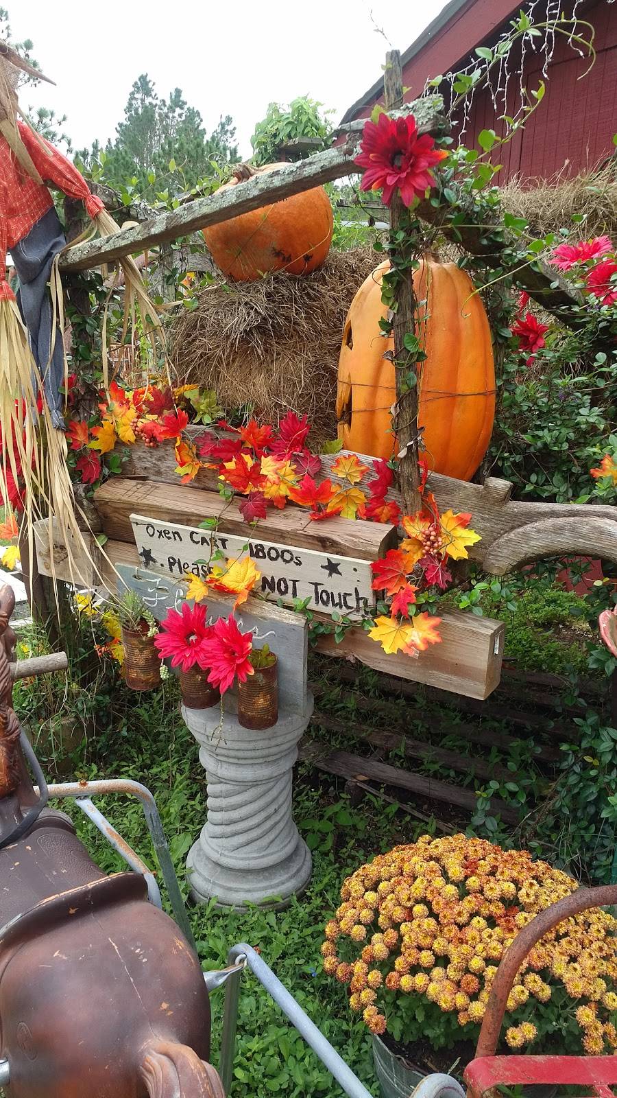 Fly In Breakfast | restaurant | 3000 W Osceola Rd, Geneva, FL 32732, USA | 4079475777 OR +1 407-947-5777