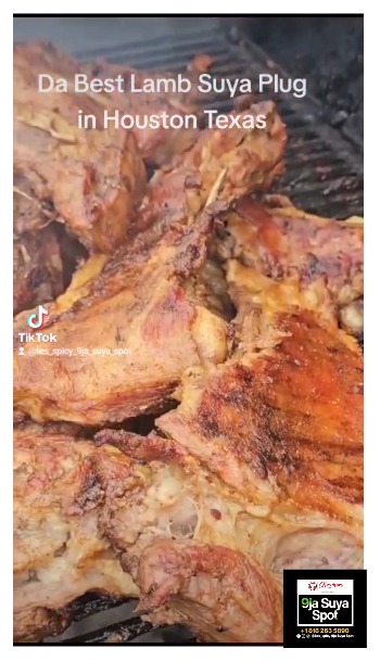 Kes Spicy 9ja Suya Spot | restaurant | 8559 S Texas 6, Houston, TX 77083, USA | 8182635890 OR +1 818-263-5890