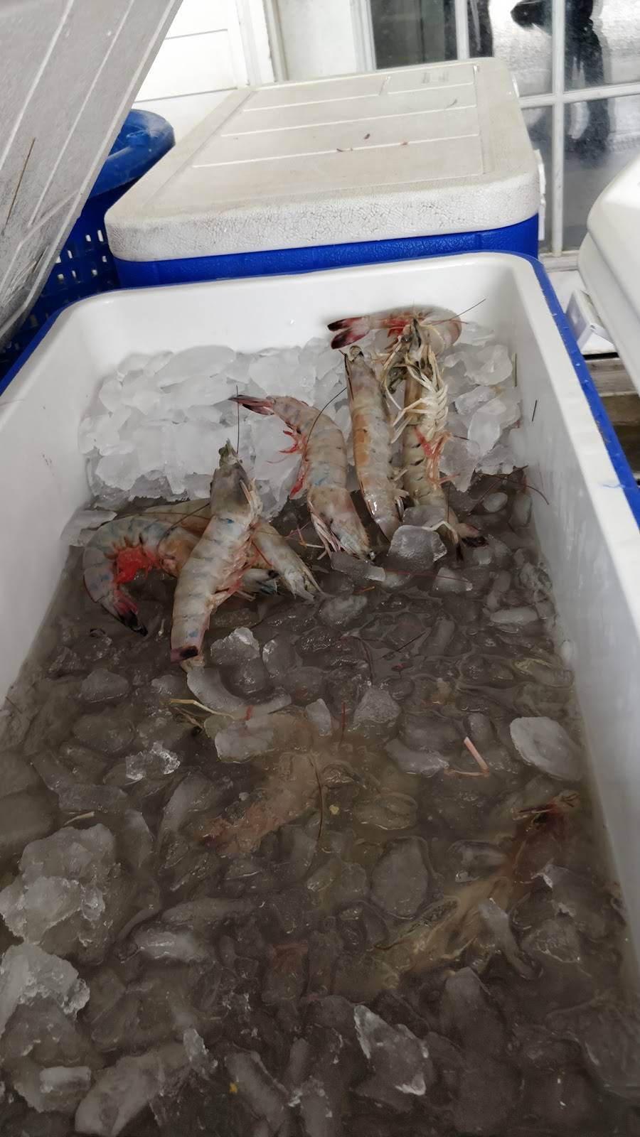 Wades Seafood Shack | restaurant | Westwego, LA 70094, USA | 5043412222 OR +1 504-341-2222