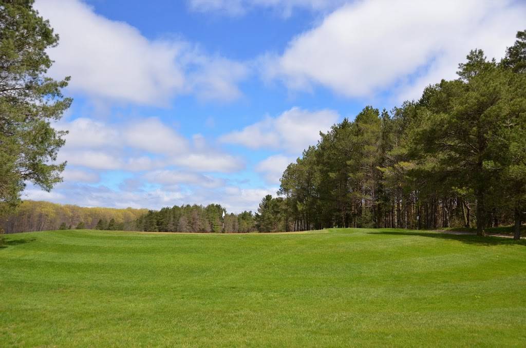 Northern Dunes Golf Club | restaurant | 665 Bruce St, Hepworth, ON N0H 1P0, Canada | 5199353000 OR +1 519-935-3000