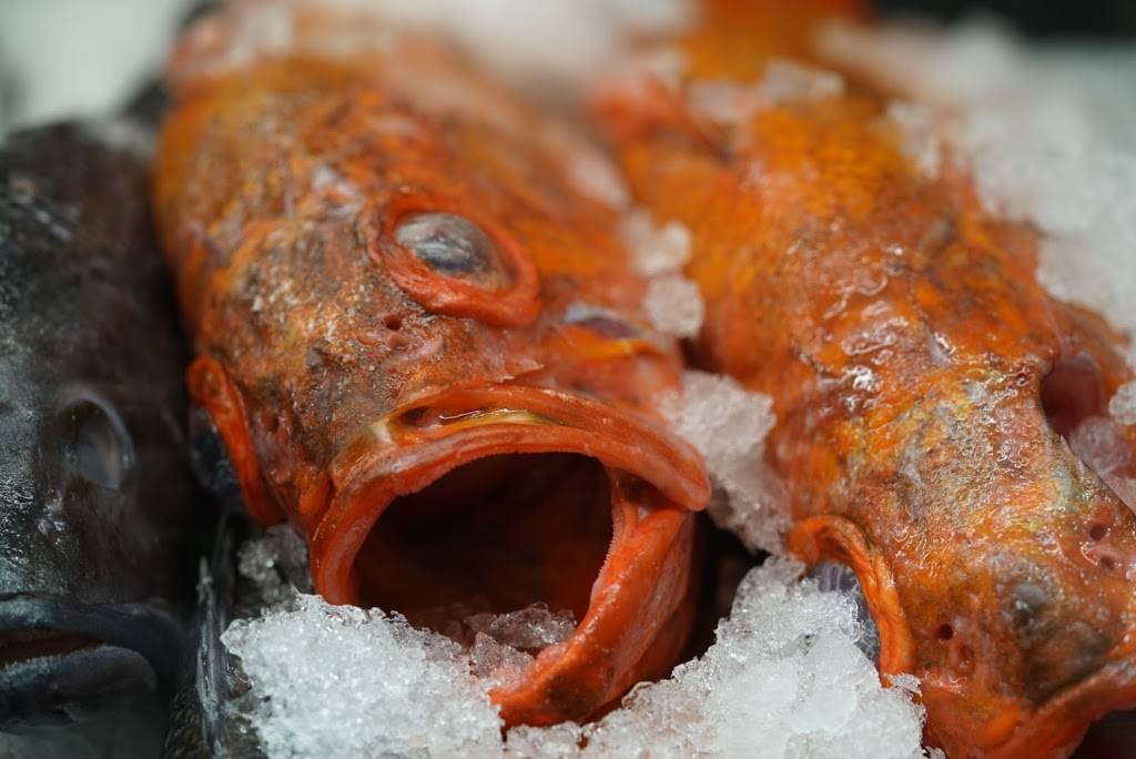 Great American International Seafood Market | restaurant | 31224 Palos Verdes Dr W, Rancho Palos Verdes, CA 90275, USA | 3107506074 OR +1 310-750-6074