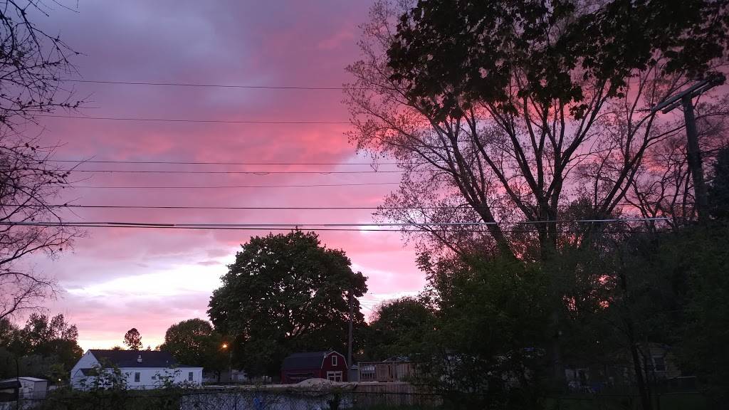 Taco Bell | meal takeaway | 26450 Plymouth Rd, Redford Charter Twp, MI 48239, USA | 3139378230 OR +1 313-937-8230