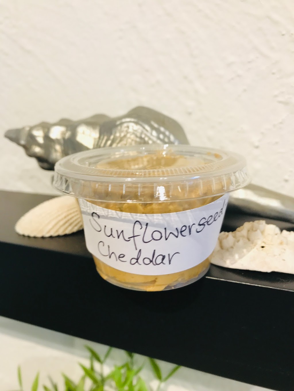 Coco NIce | restaurant | 3407 S MacDill Ave, Tampa, FL 33629, USA | 8134172644 OR +1 813-417-2644