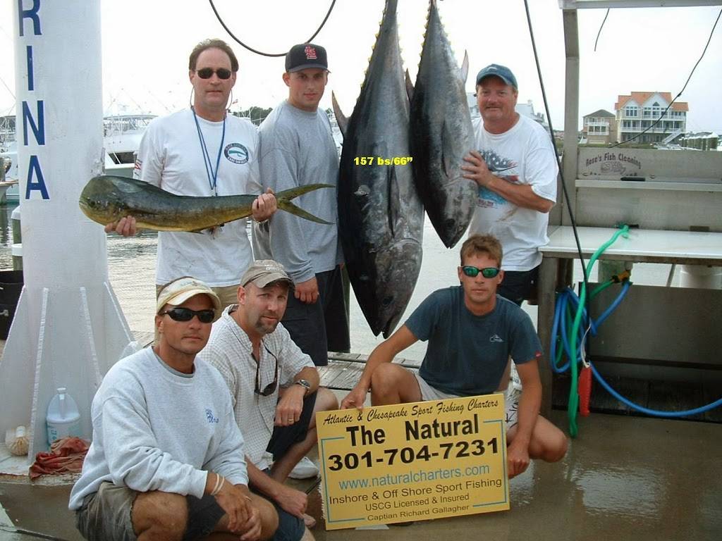 The Natural | restaurant | 533 Deale Rd, Deale, MD 20751, USA | 3017047231 OR +1 301-704-7231