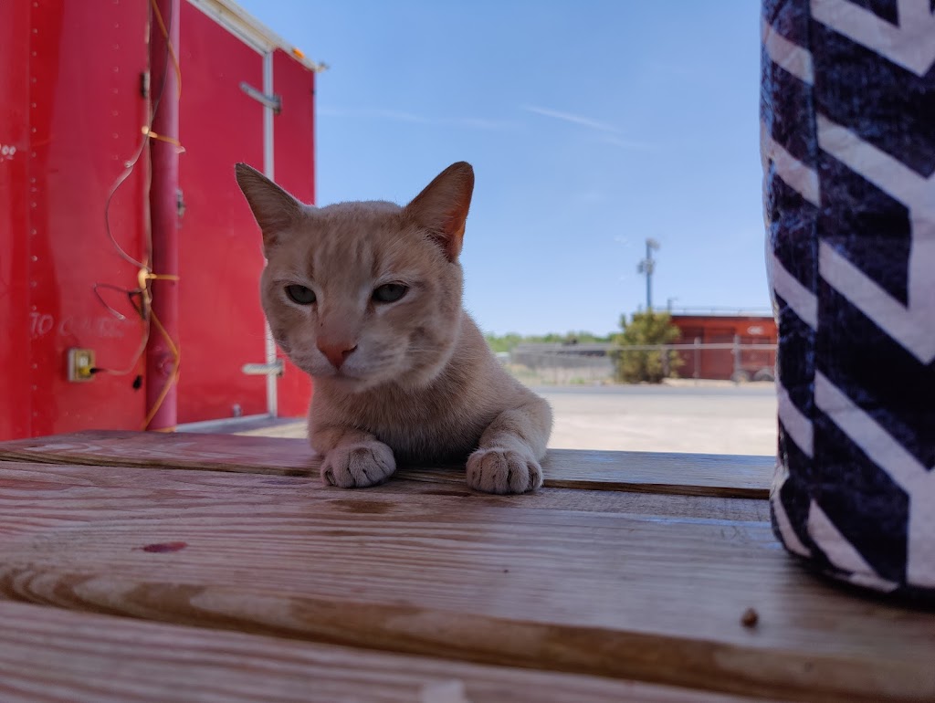 Tacos El Torito | restaurant | 8418 NM-478, Vado, NM 88072, USA | 9153148472 OR +1 915-314-8472